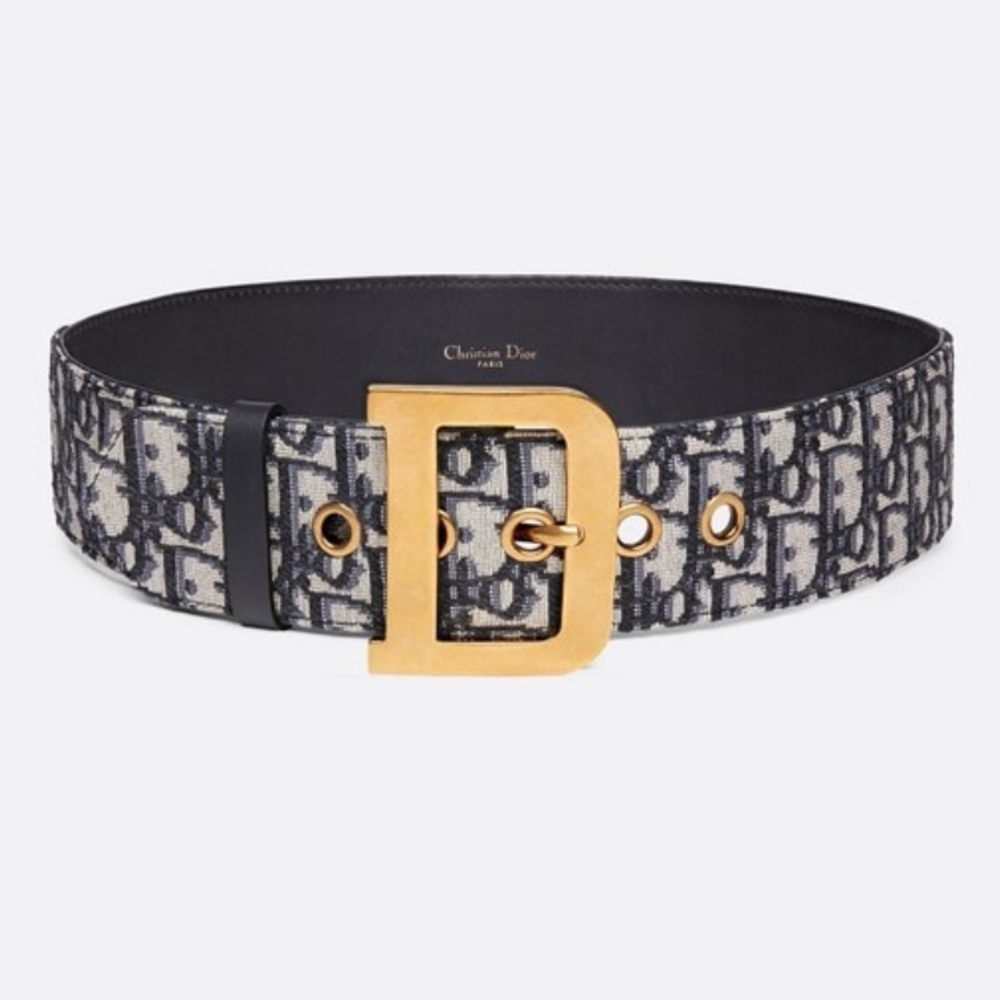 Authentic Large Diorquake Logo Belt